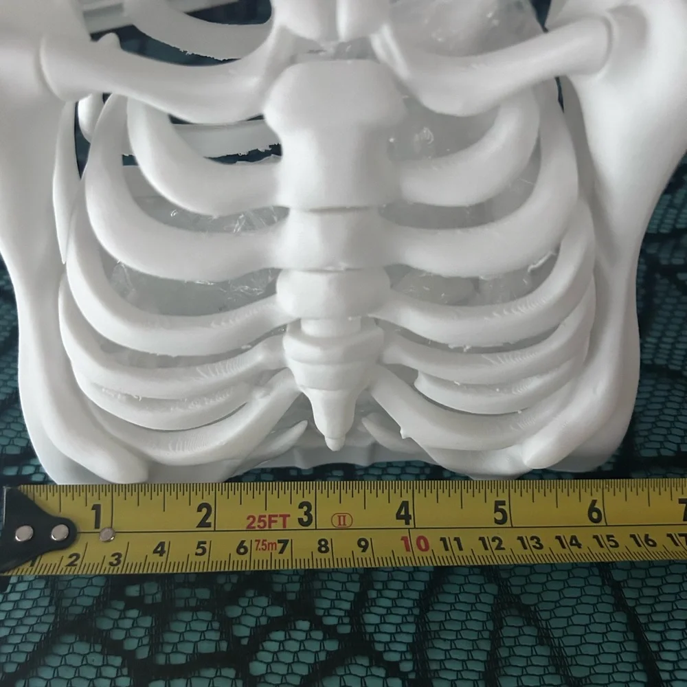 Skeleton Ribcage Handbag - Picture 4 of 5